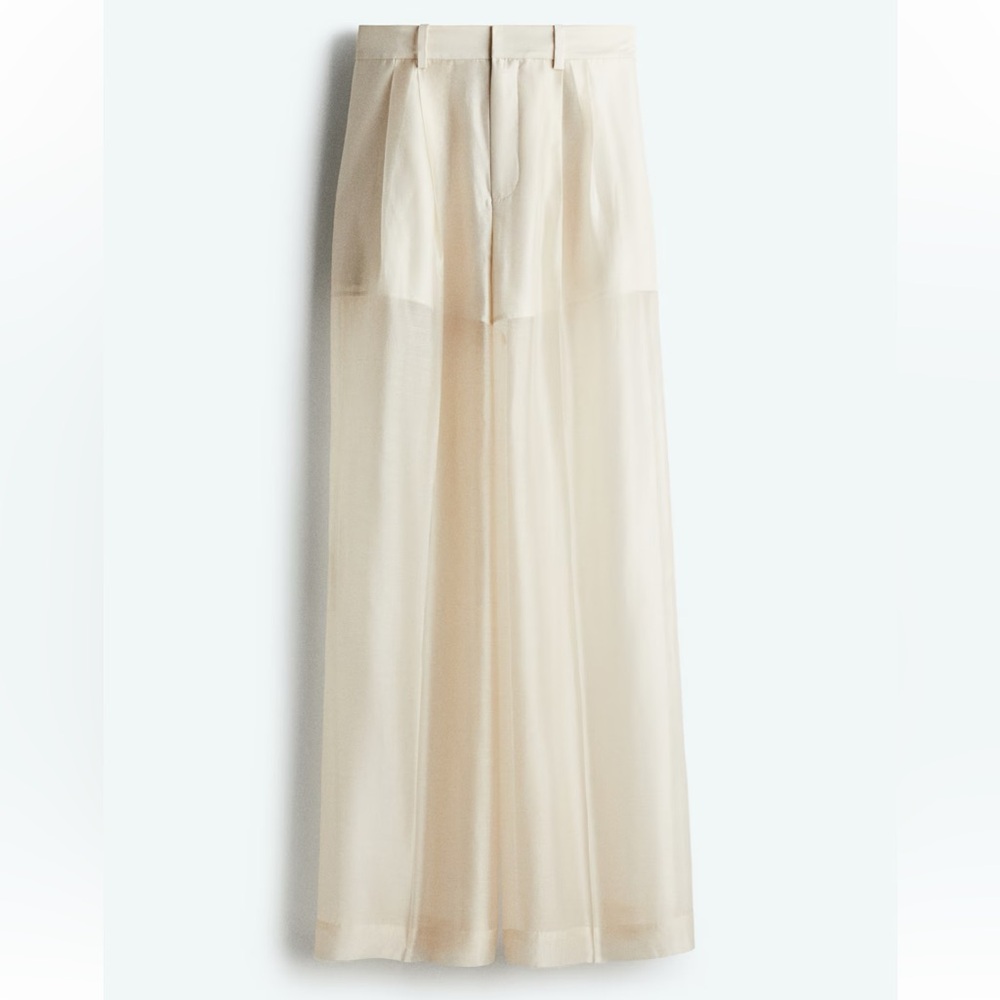 H&M Sheer Leg Pants